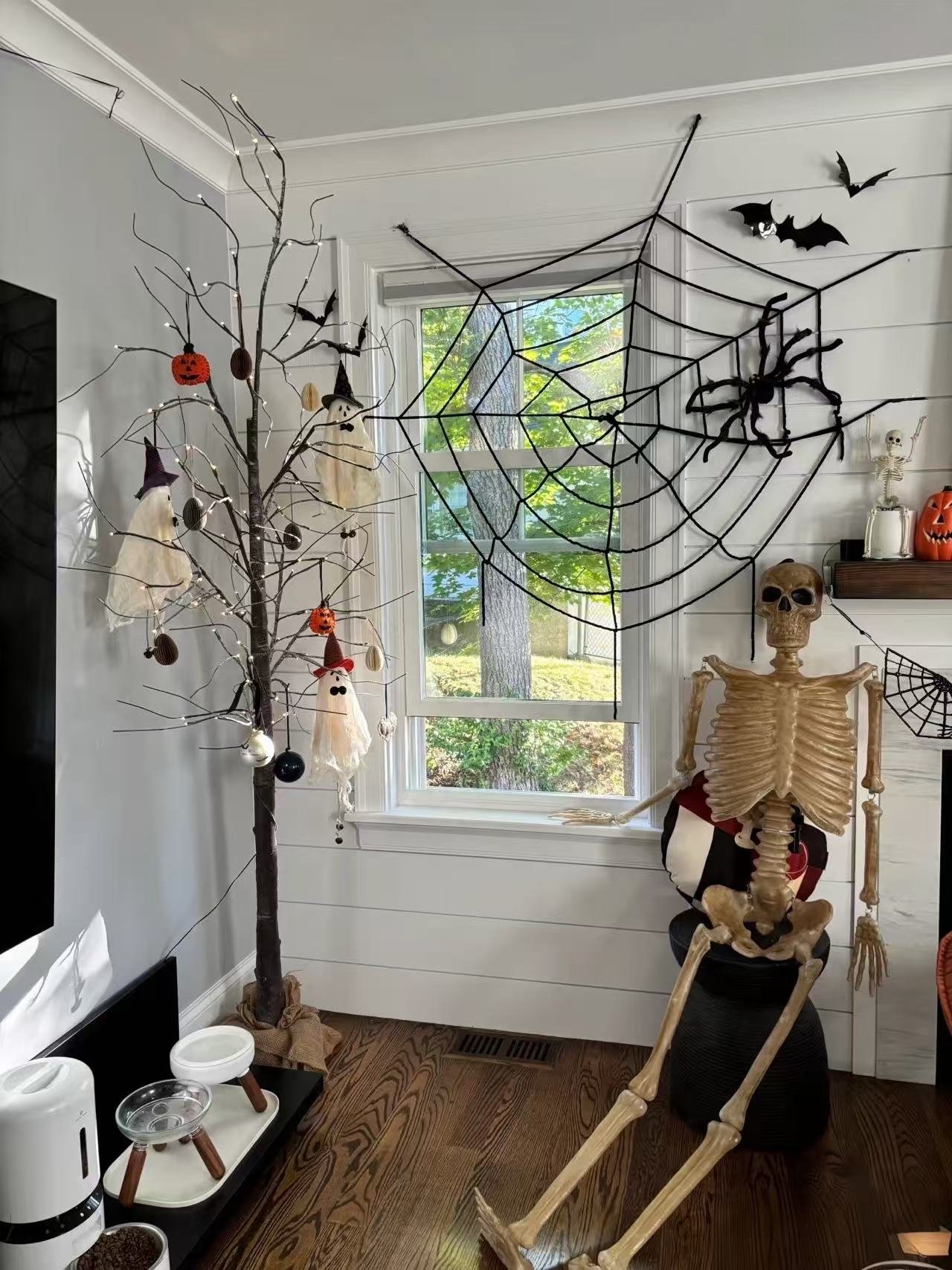 Indoor Halloween Room Decoration Kit with Skeleton and Spider Web